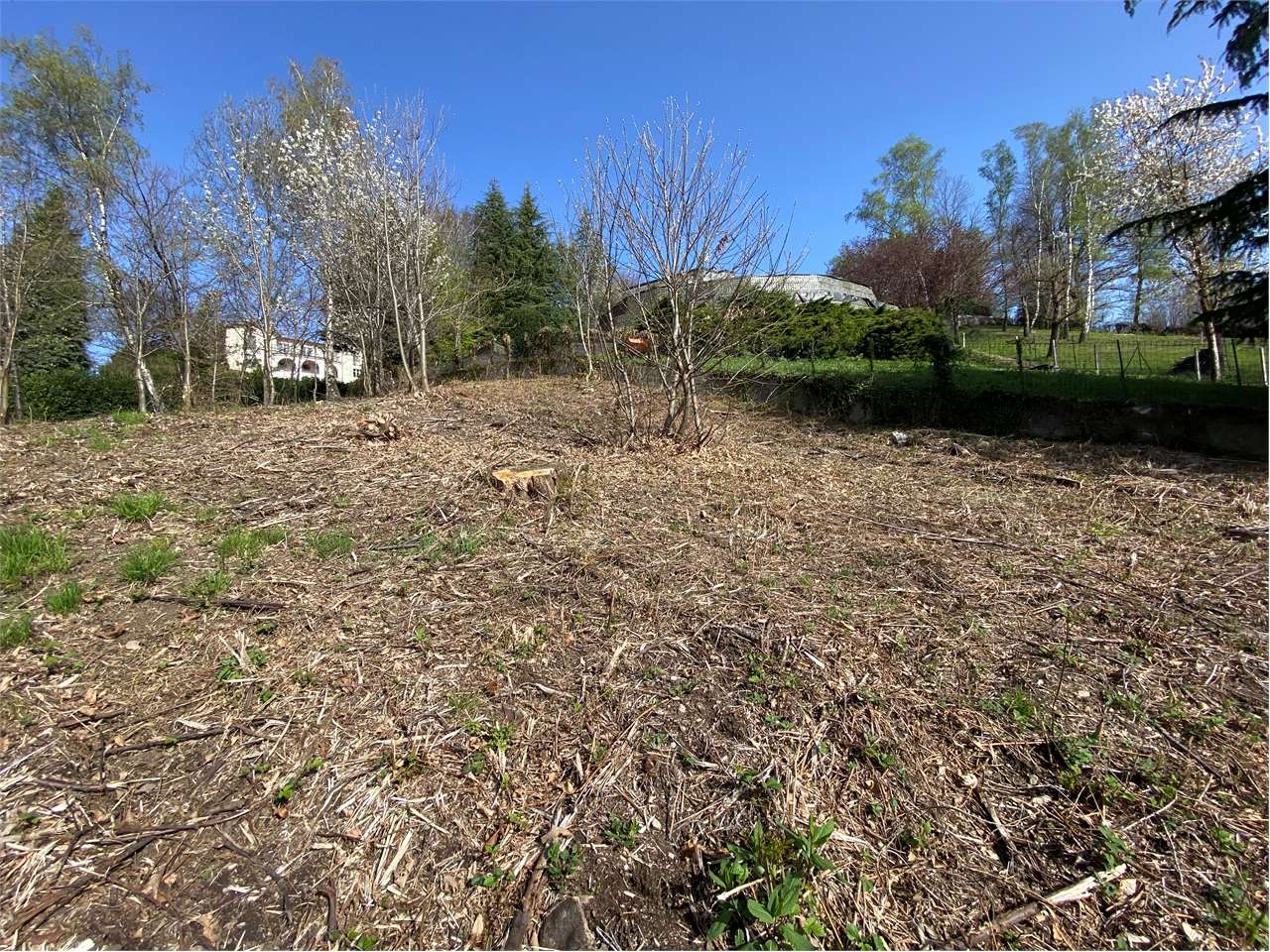 immagine annuncio 5 di 8