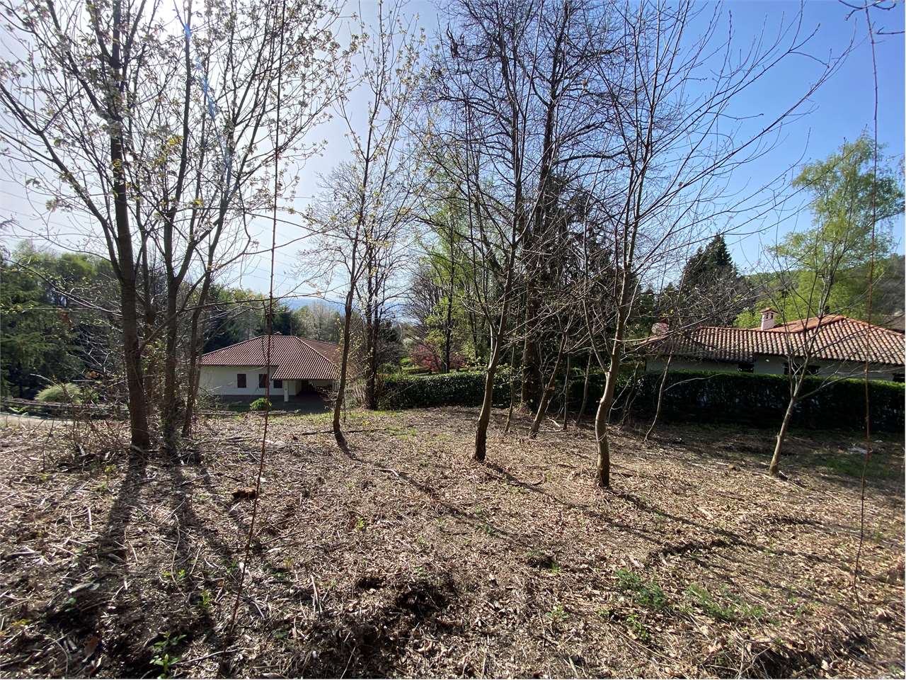 immagine annuncio 6 di 8