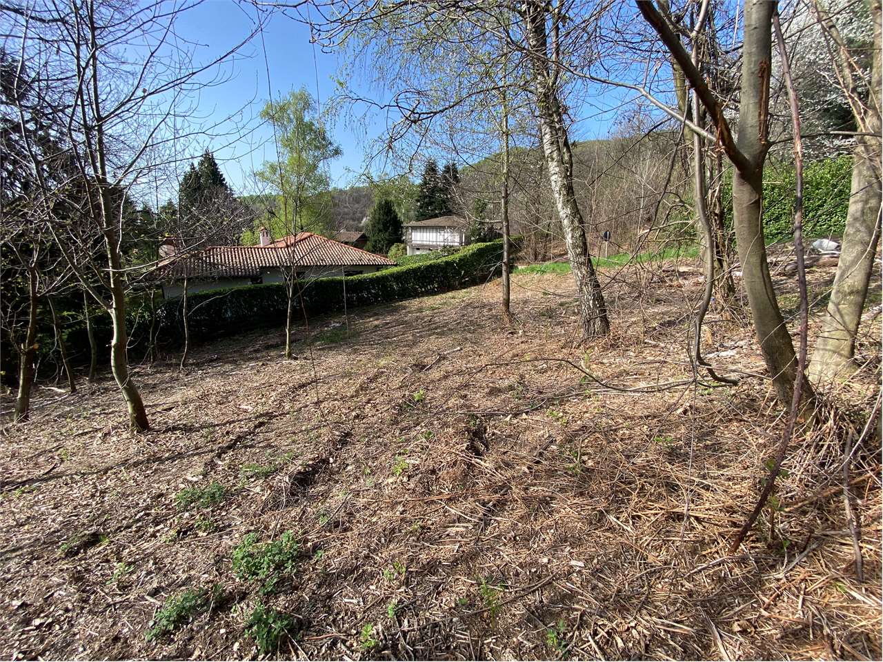 immagine annuncio 7 di 8