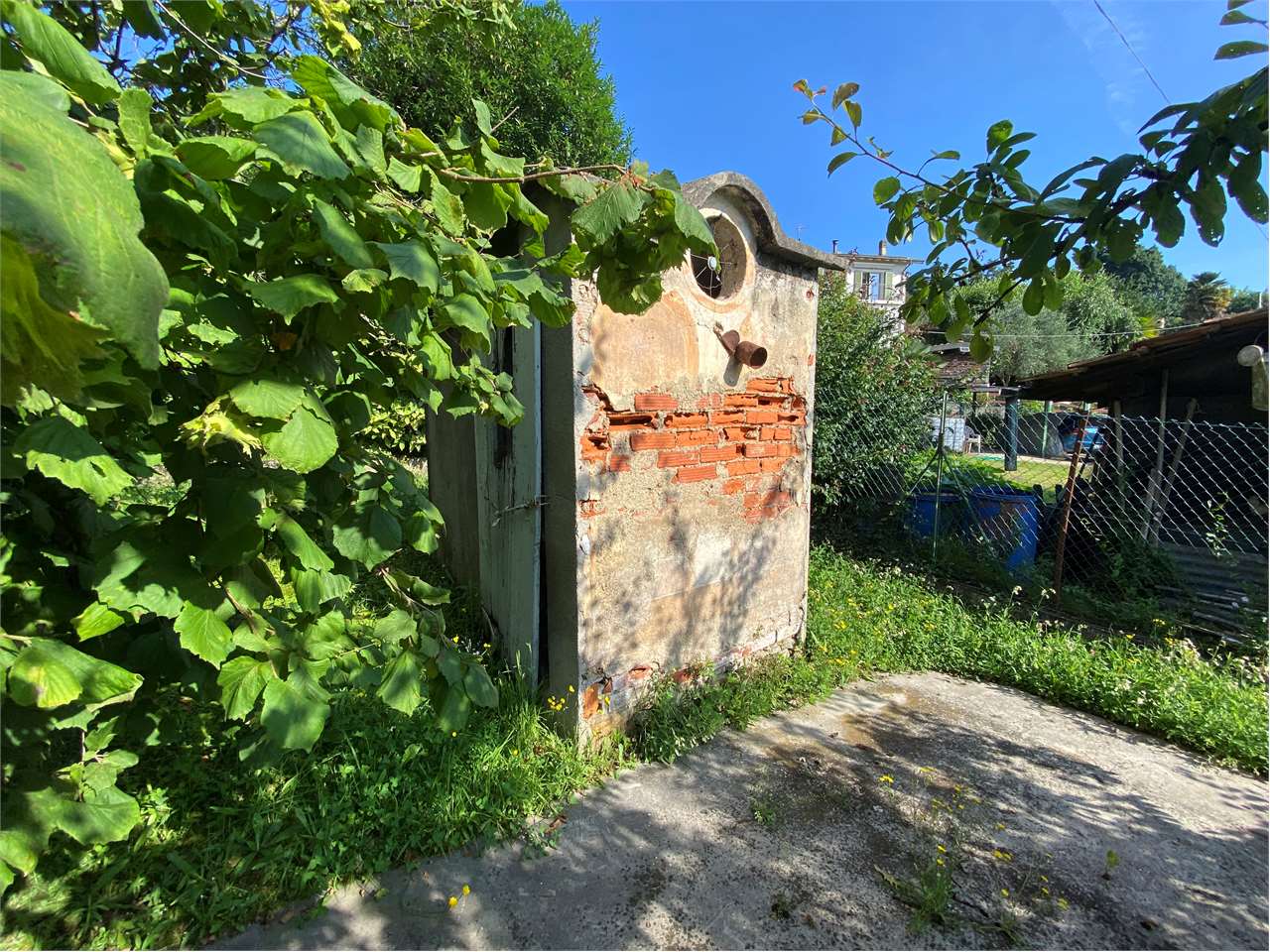 immagine annuncio 12 di 15