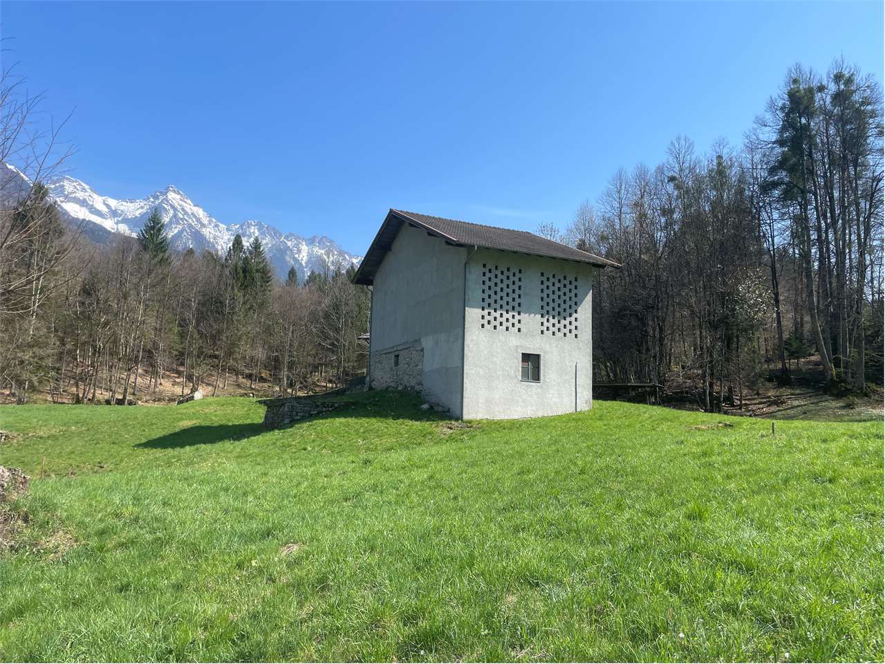 immagine annuncio 2 di 10