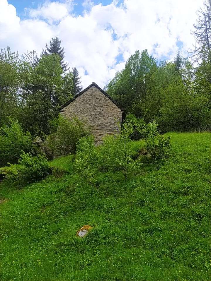 immagine annuncio 10 di 15