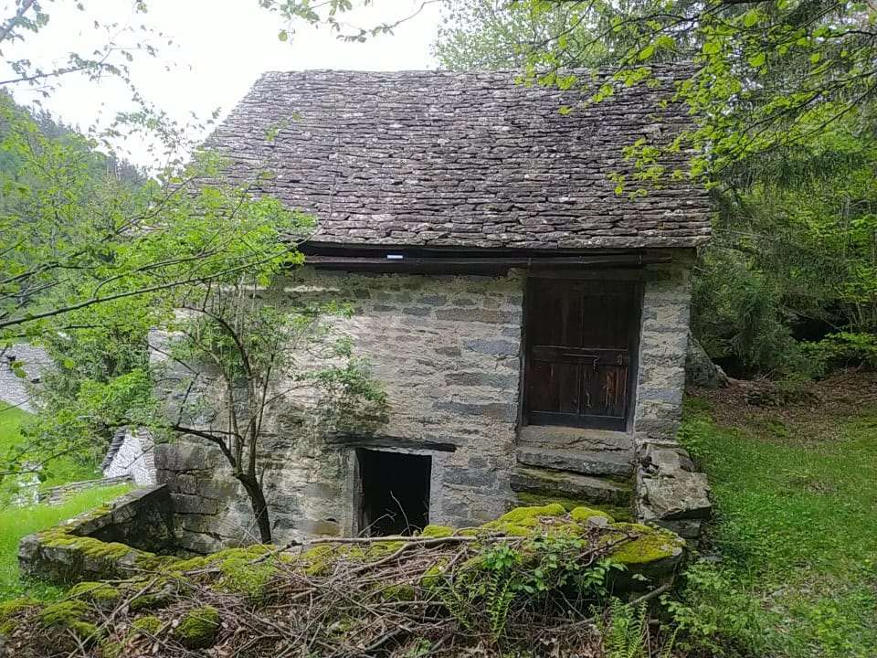 immagine annuncio 11 di 15