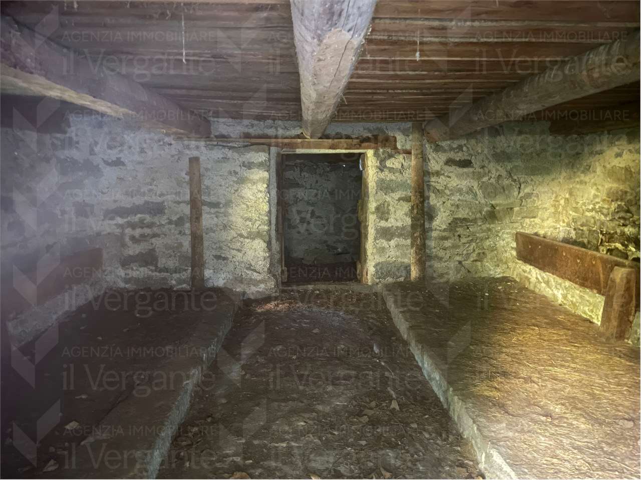 immagine annuncio 6 di 12