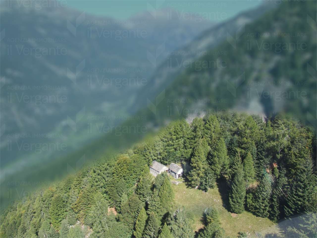 A rare opportunity for alpine pasturing