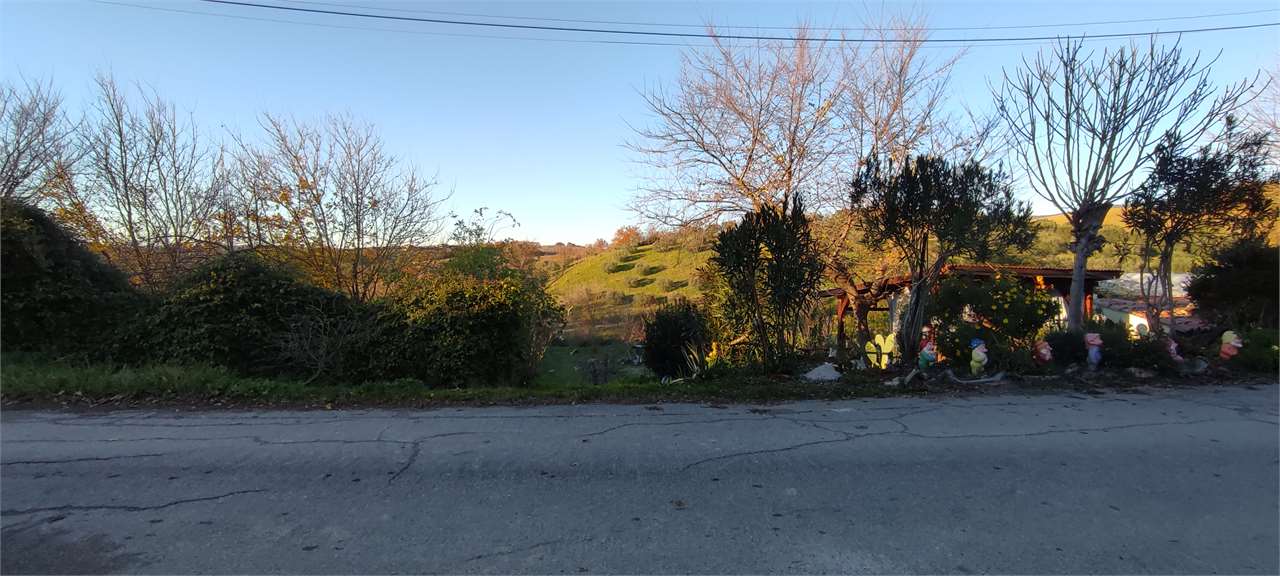 immagine annuncio 10 di 14