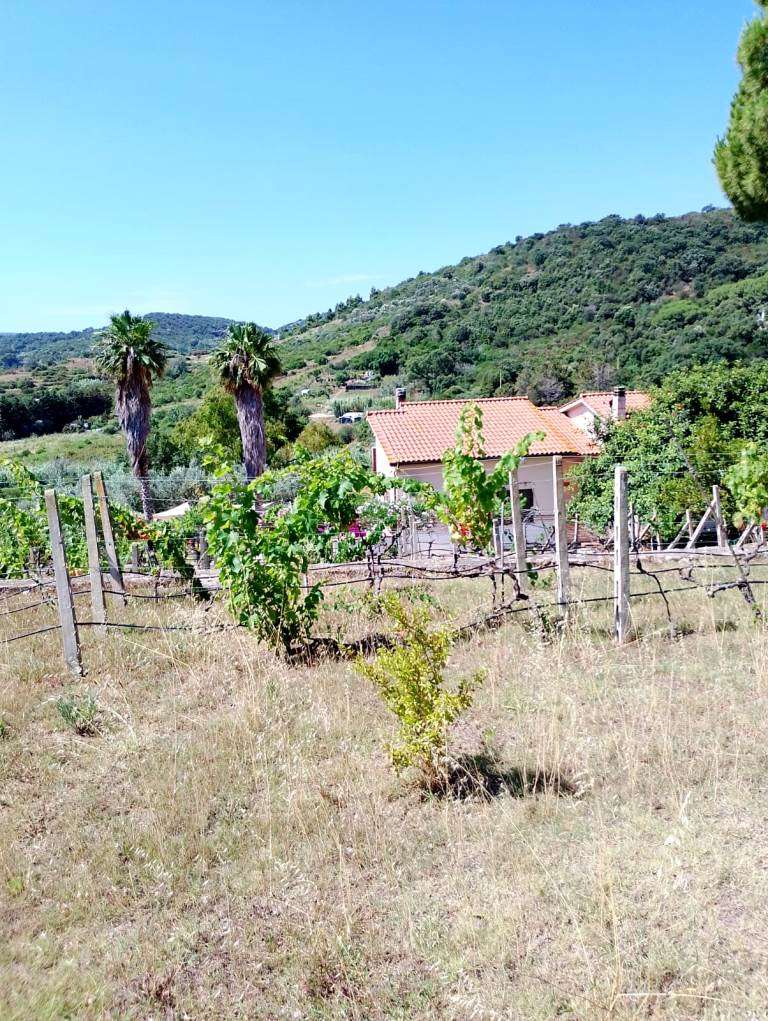 Appartamento in vendita a Marina Di Campo, Campo Nell'elba (LI)