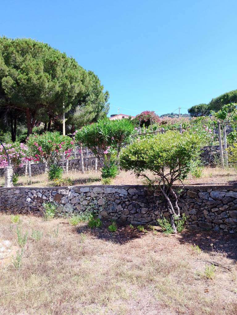 Appartamento in vendita a Marina Di Campo, Campo Nell'elba (LI)