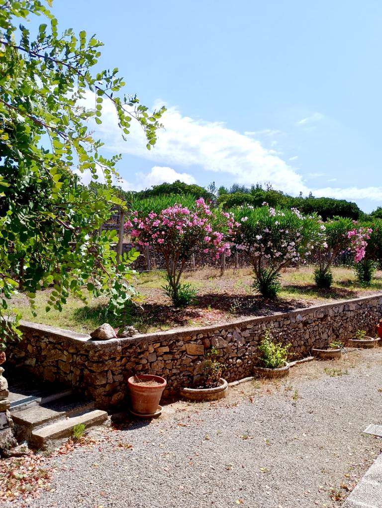 Appartamento in vendita a Marina Di Campo, Campo Nell'elba (LI)