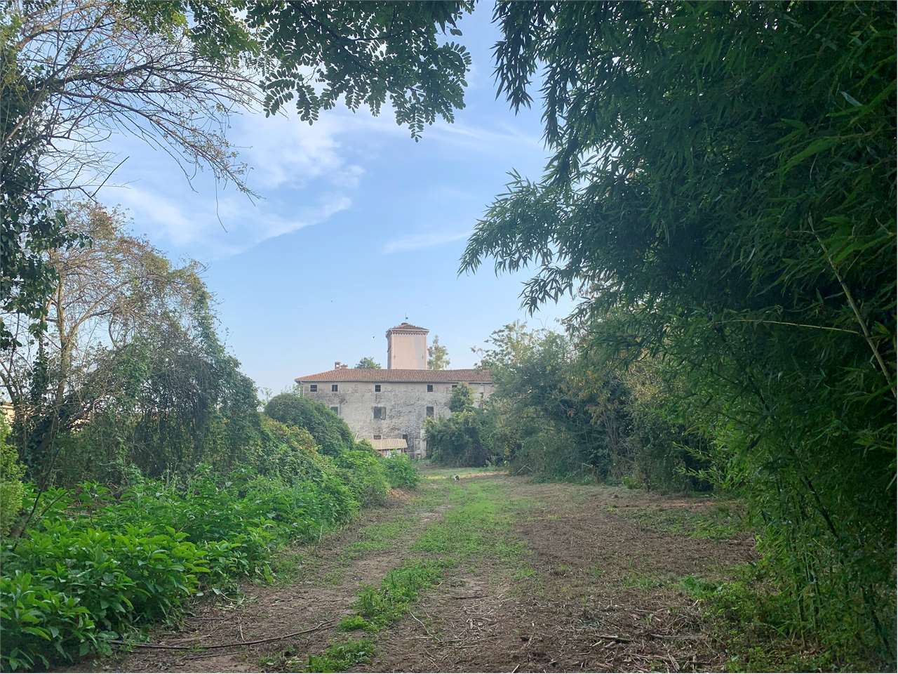 immagine annuncio 13 di 15