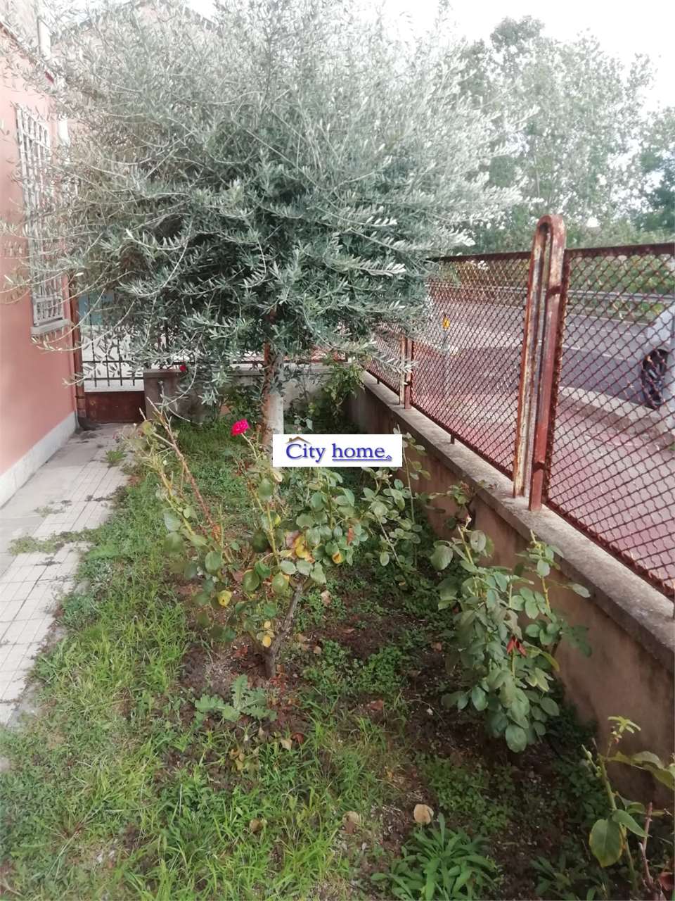 Indipendente in Affitto