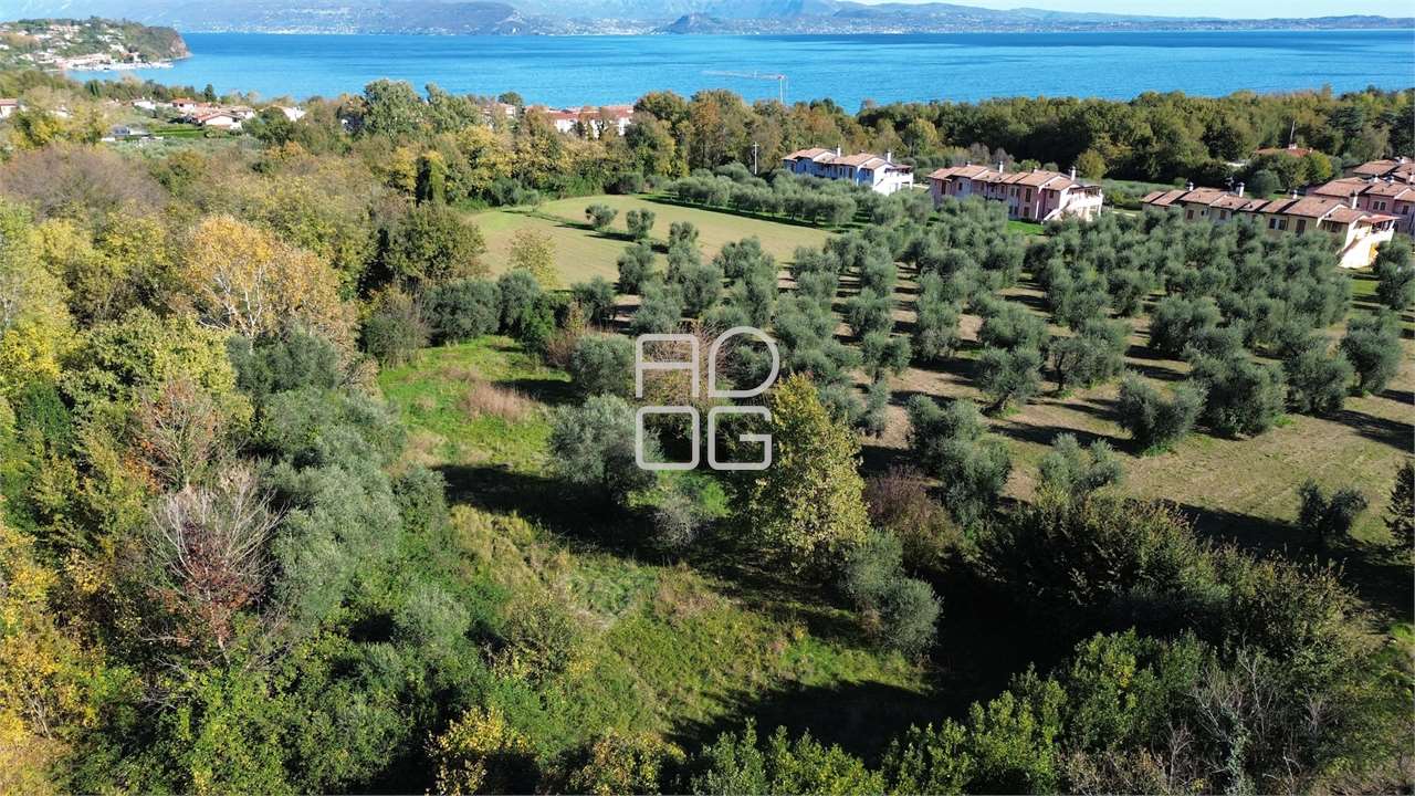 immagine annuncio 2 di 3