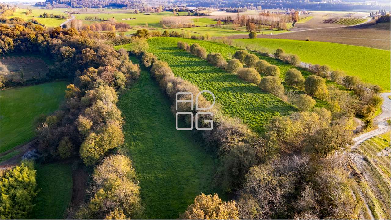 immagine annuncio 1 di 3