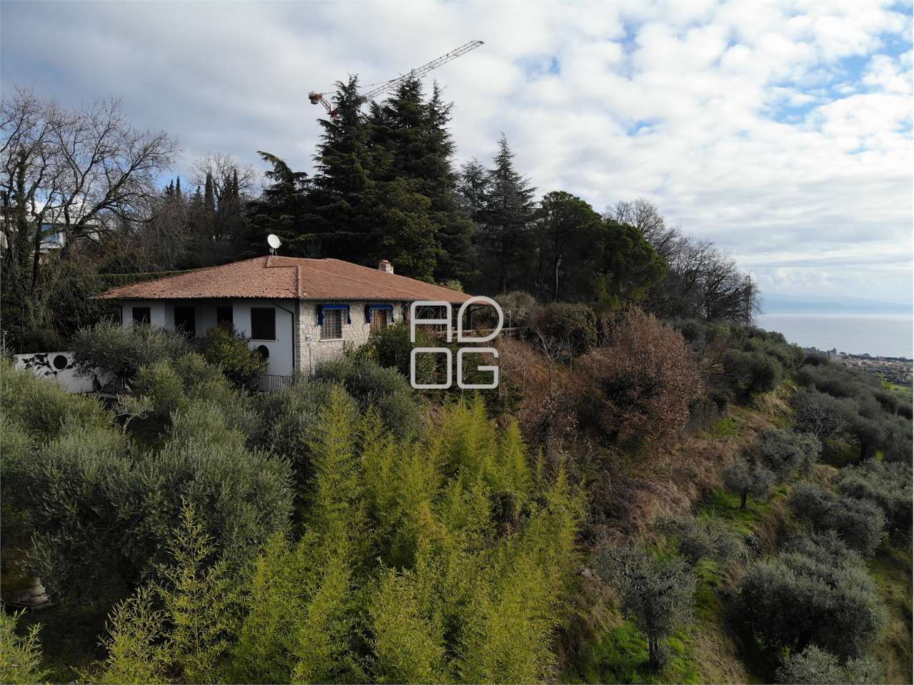 immagine annuncio 4 di 15