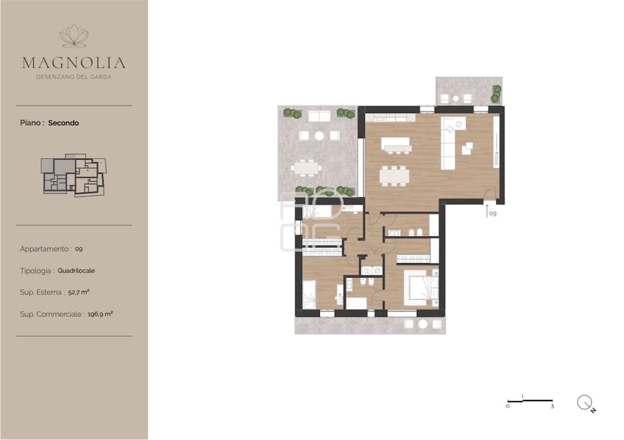 immagine annuncio 10 di 11