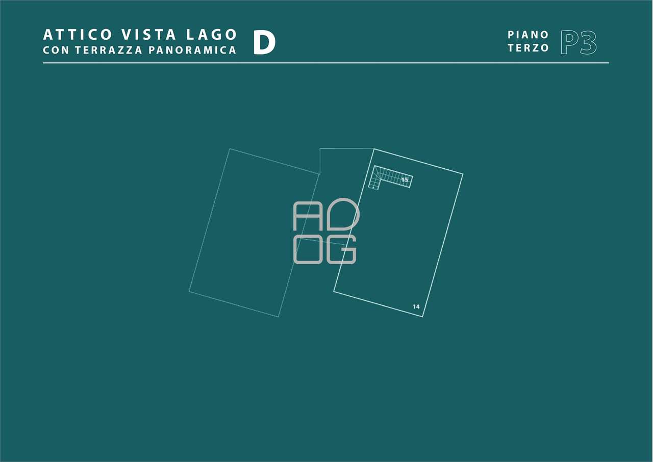 immagine annuncio 12 di 14