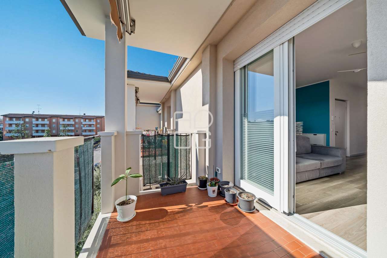 immagine annuncio 6 di 15