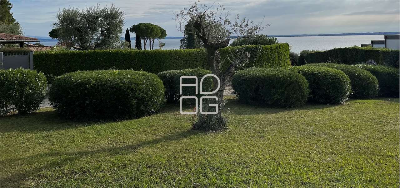 immagine annuncio 10 di 14