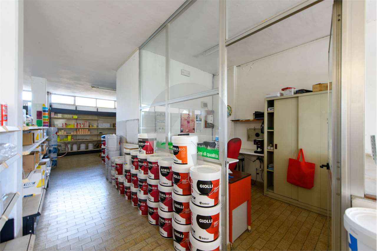 immagine annuncio 7 di 14
