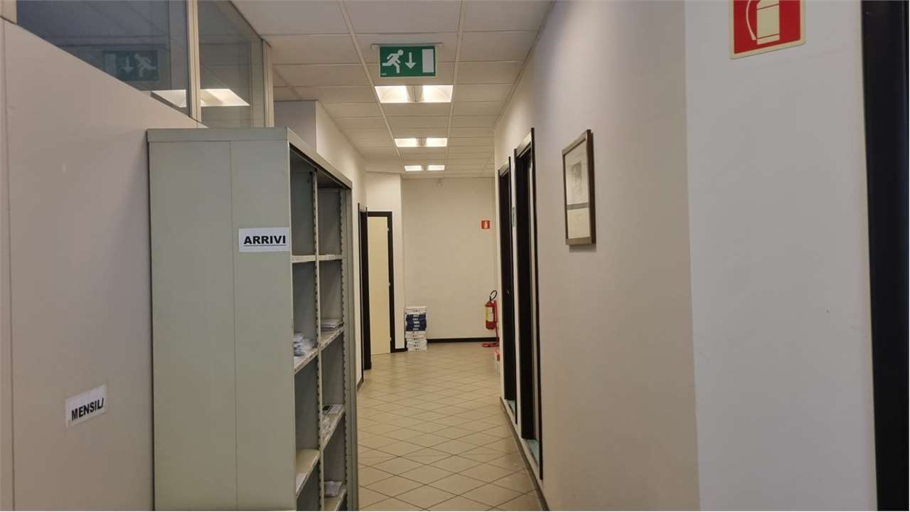 immagine annuncio 1 di 13