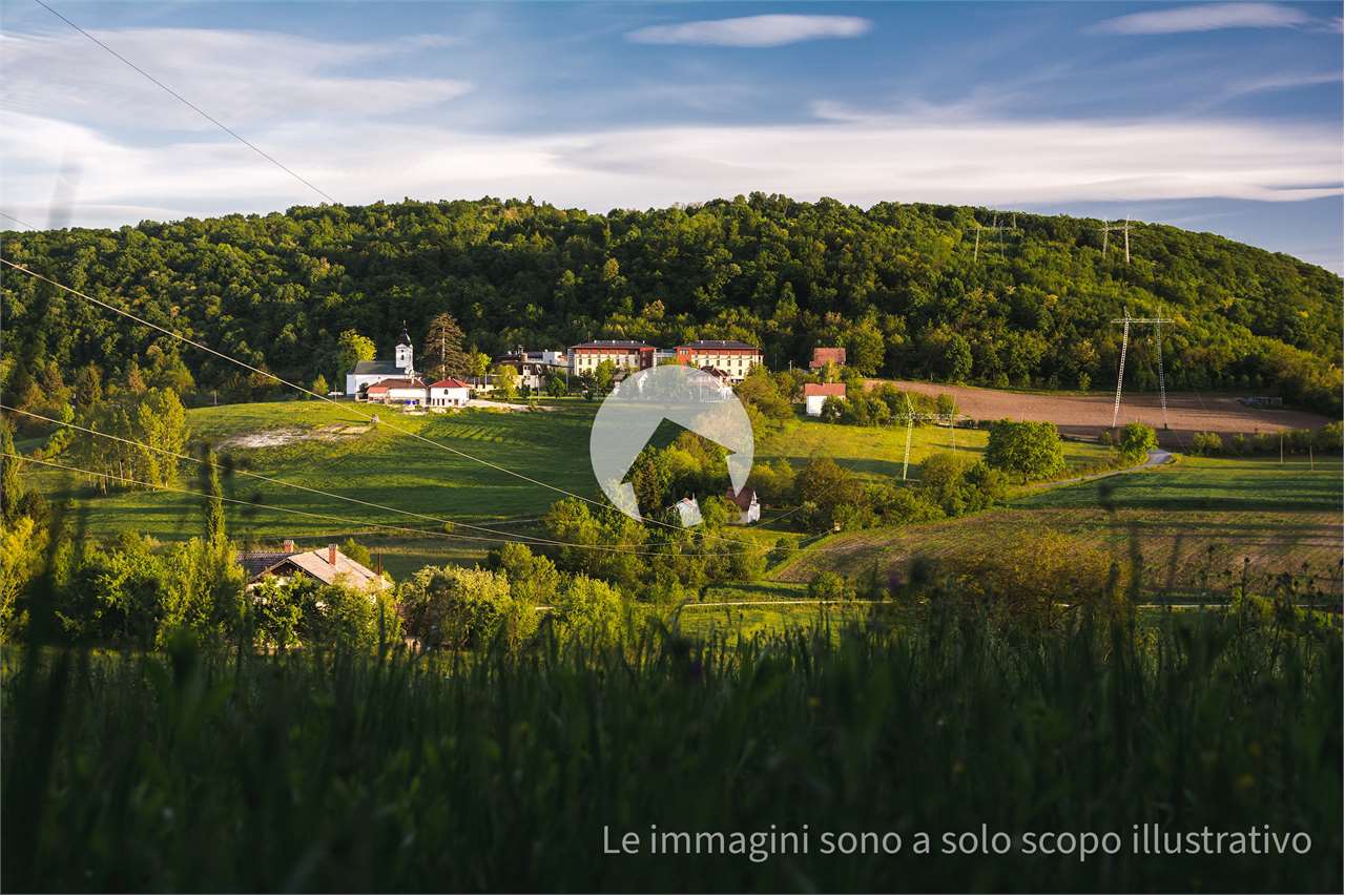 immagine annuncio 4 di 12