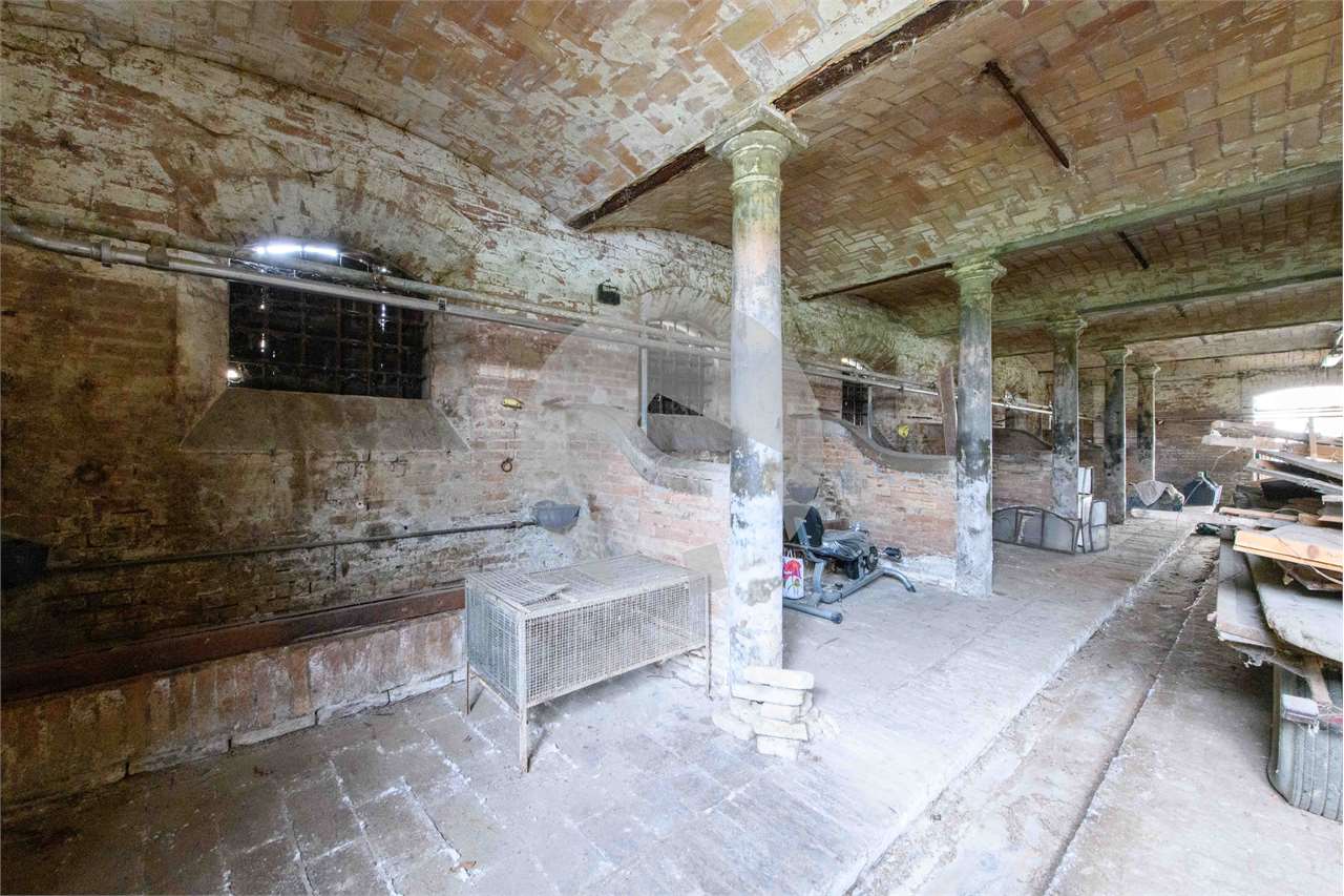 immagine annuncio 9 di 13