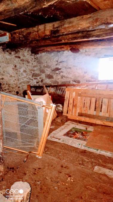Casa indipendente in vendita a Pontegrande, Bannio Anzino (VB)