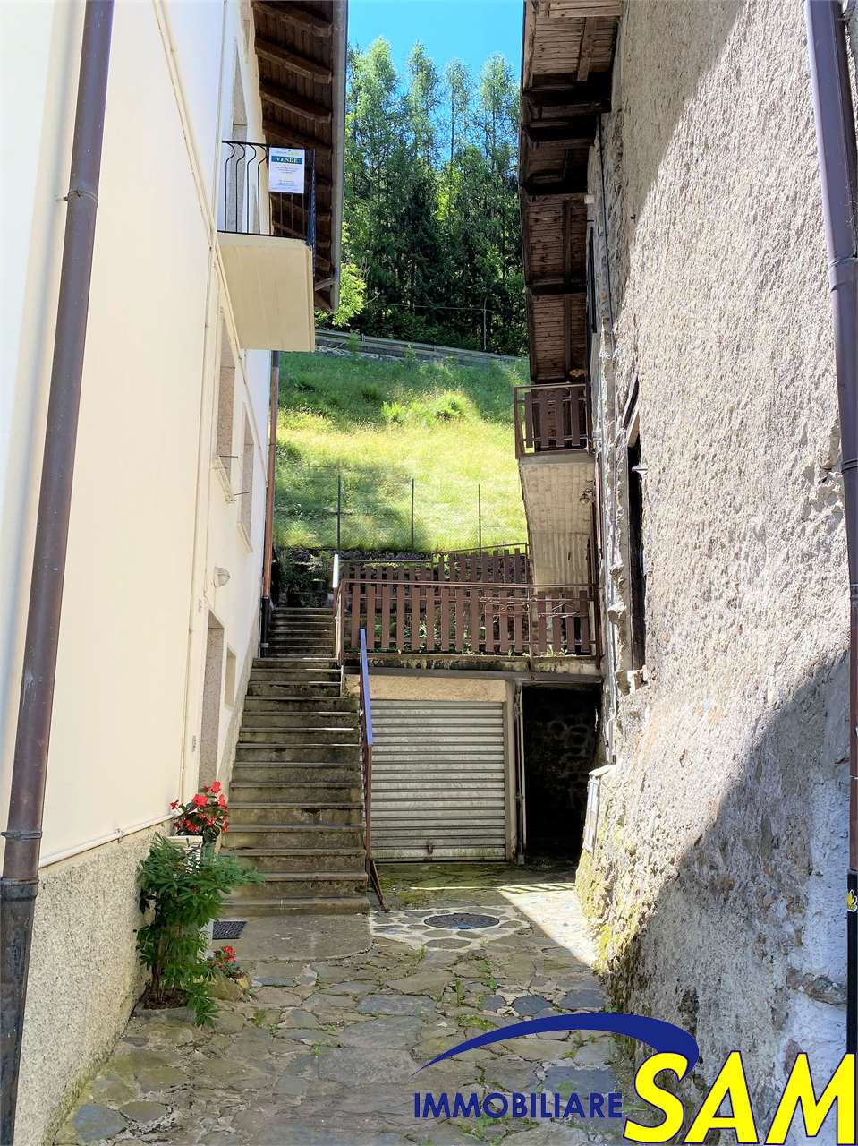 immagine annuncio 4 di 15