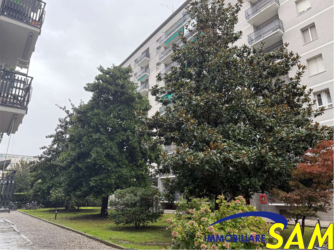 immagine annuncio 2 di 13