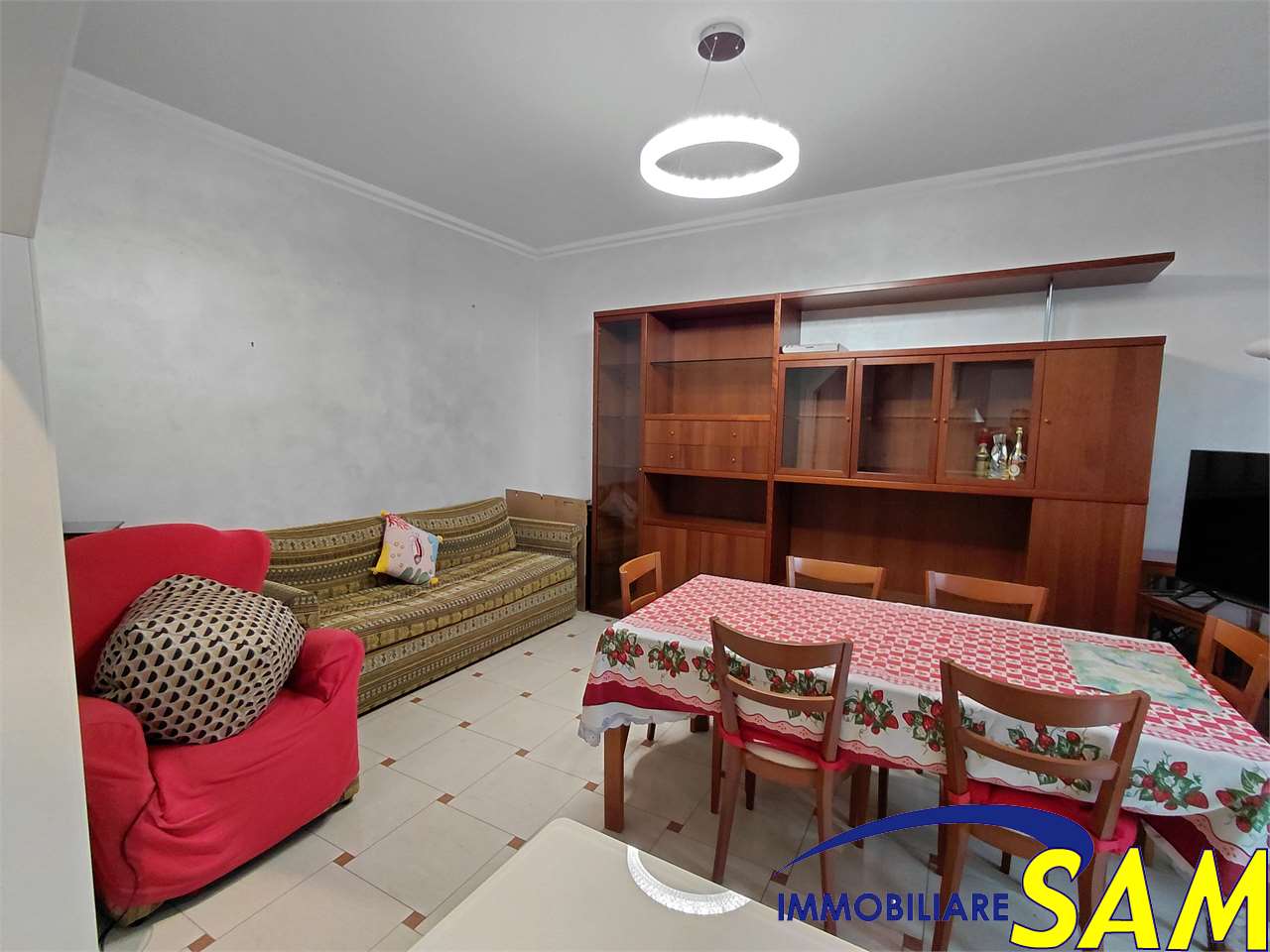 immagine annuncio 3 di 14