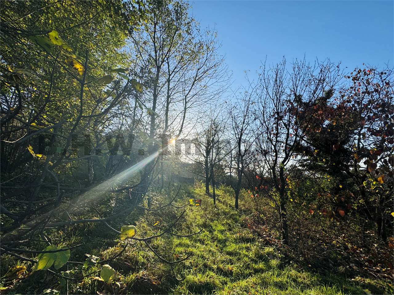 Fotografia Terreno Residenziale piccola 2