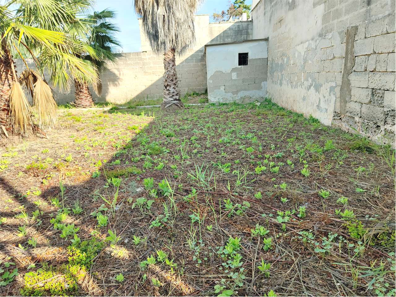 Terreno edificabile b21 su Torre Chianca Lecce a Lecce - foto 2