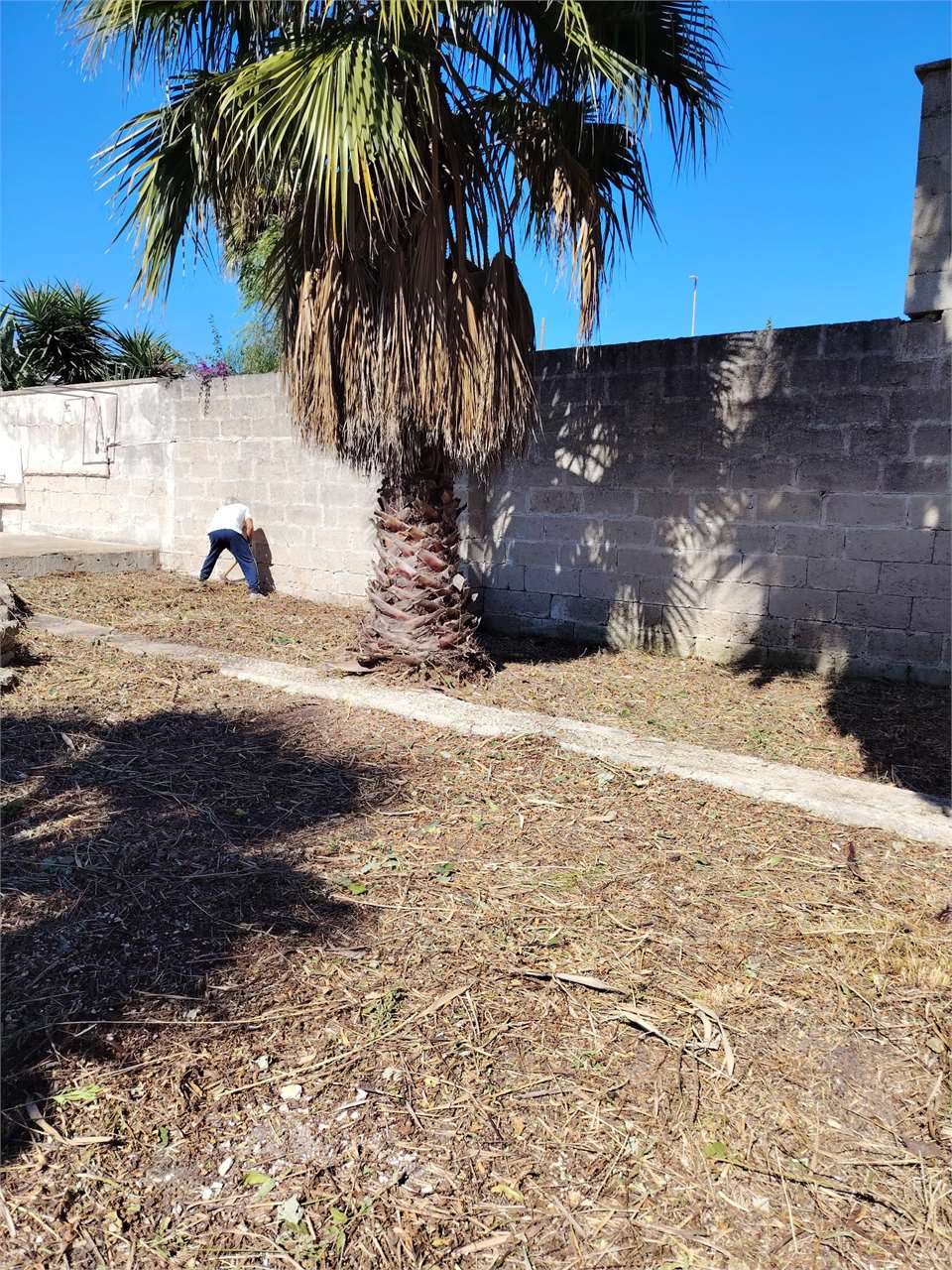 Terreno edificabile b21 su Torre Chianca Lecce a Lecce - foto 13