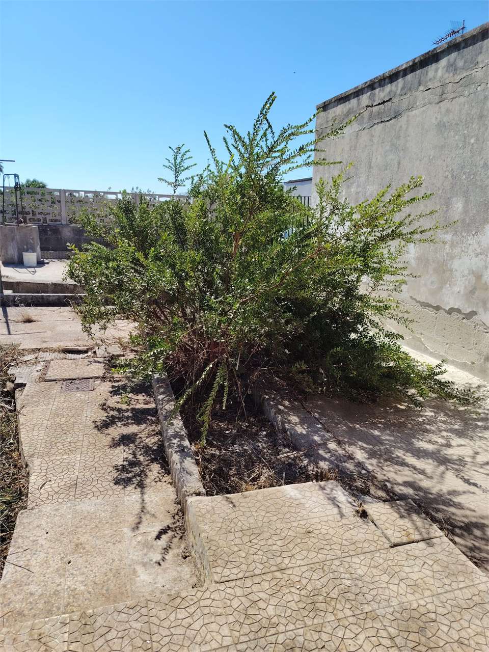Terreno edificabile b21 su Torre Chianca Lecce a Lecce - foto 17
