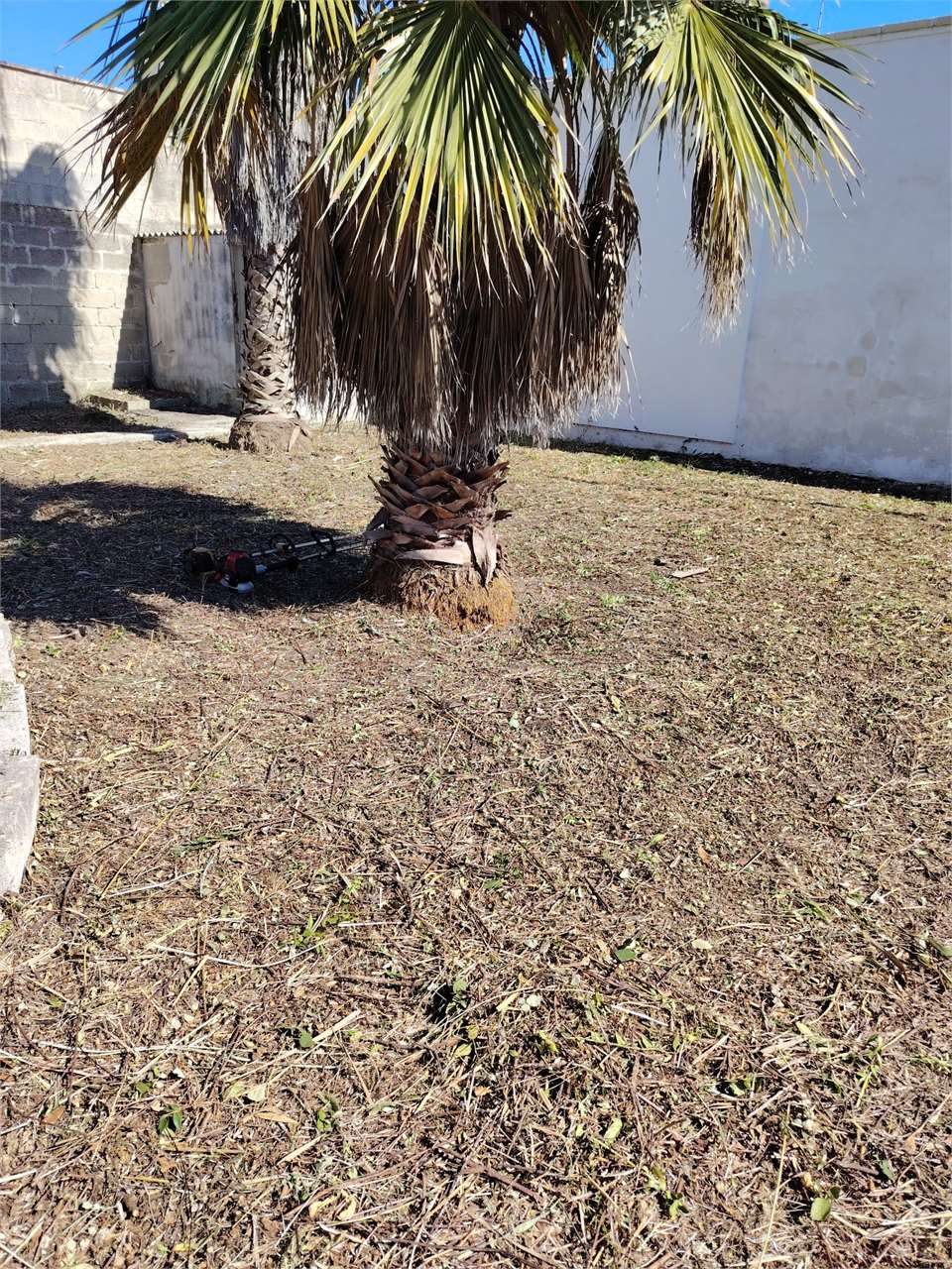 Terreno edificabile b21 su Torre Chianca Lecce a Lecce - foto 18