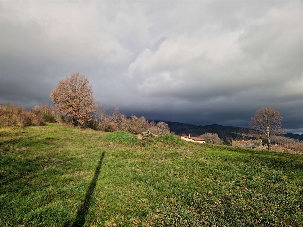 Fotografia dell'immobile