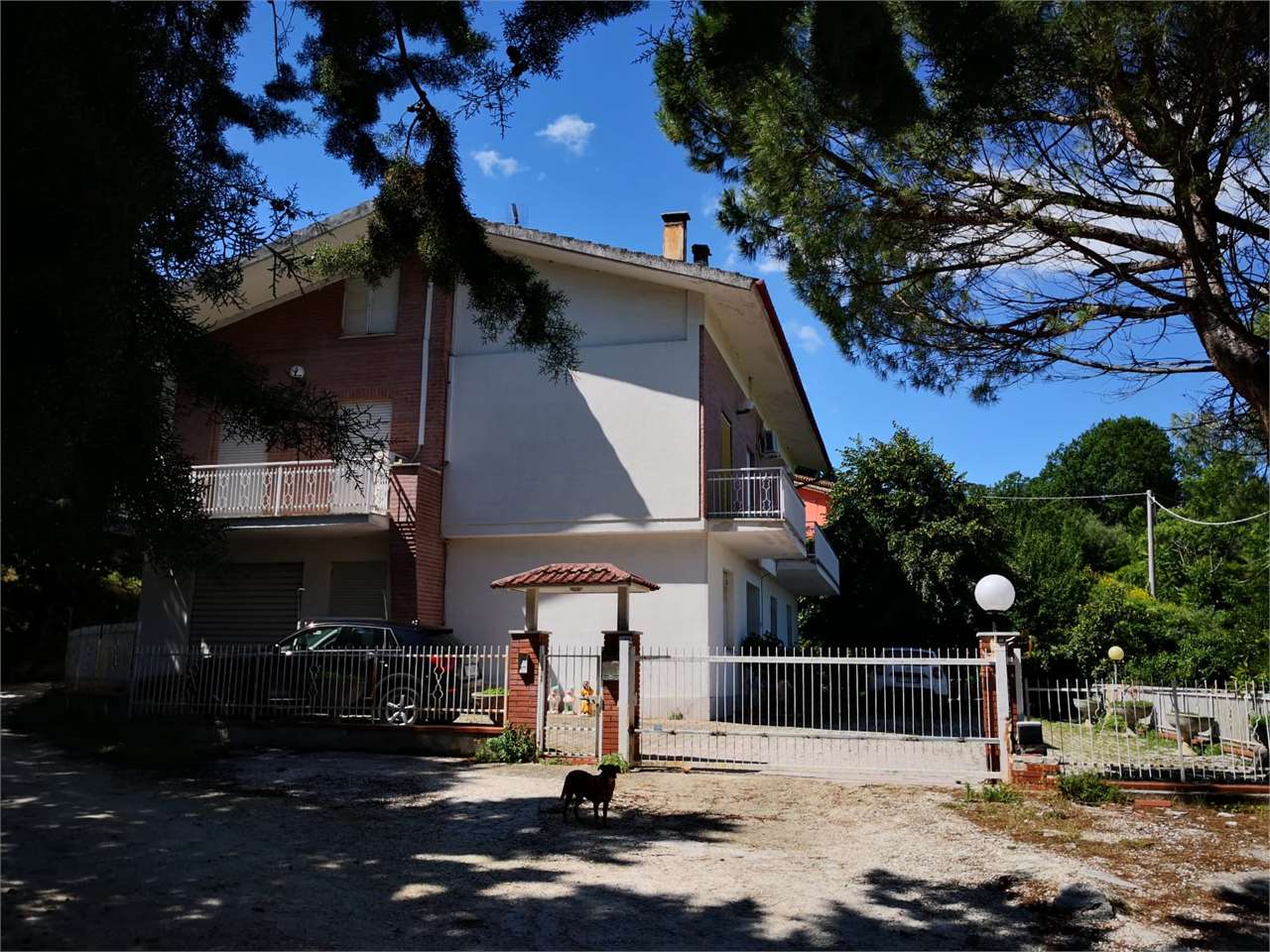 immagine annuncio 11 di 12