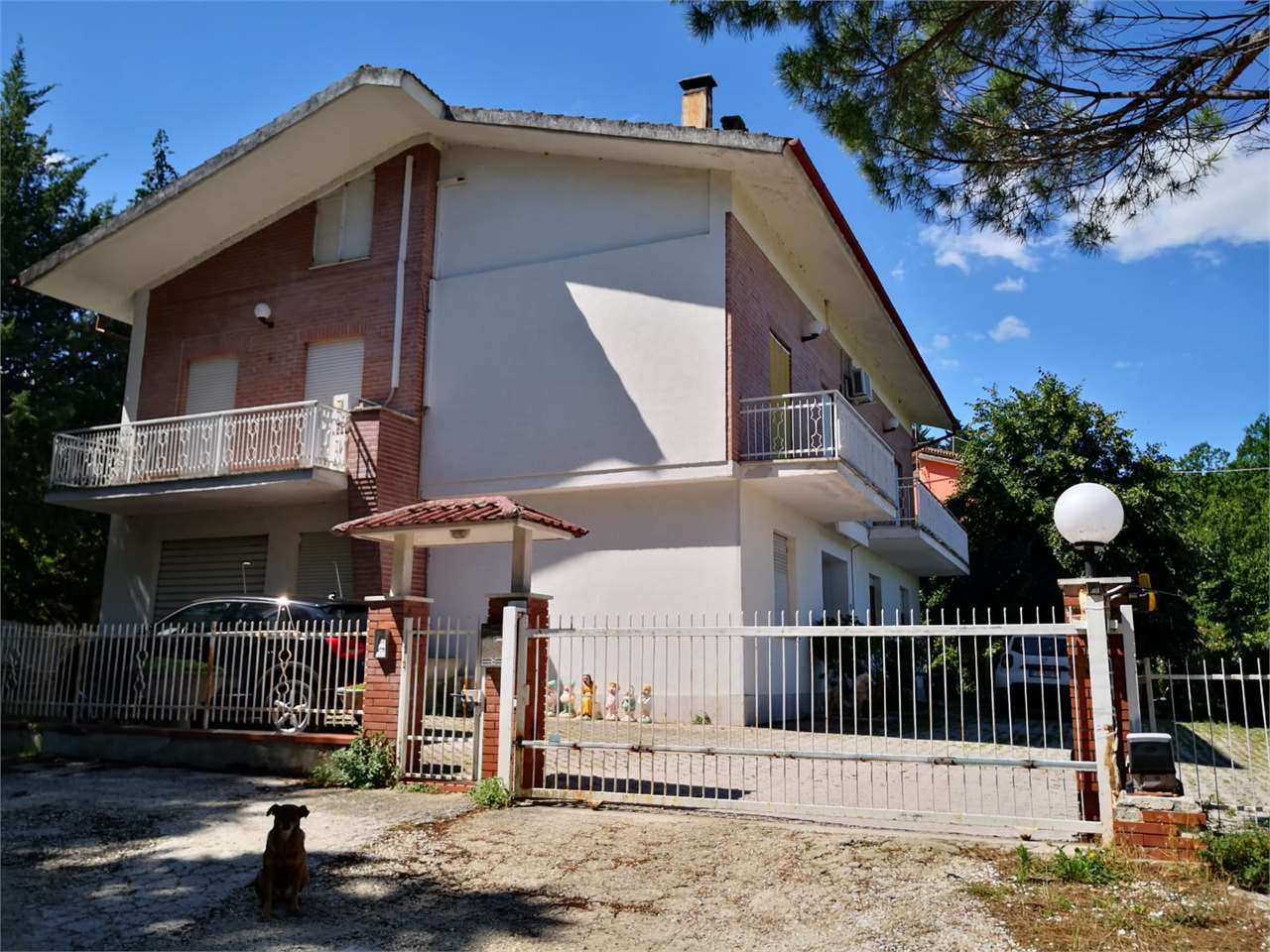 immagine annuncio 1 di 12