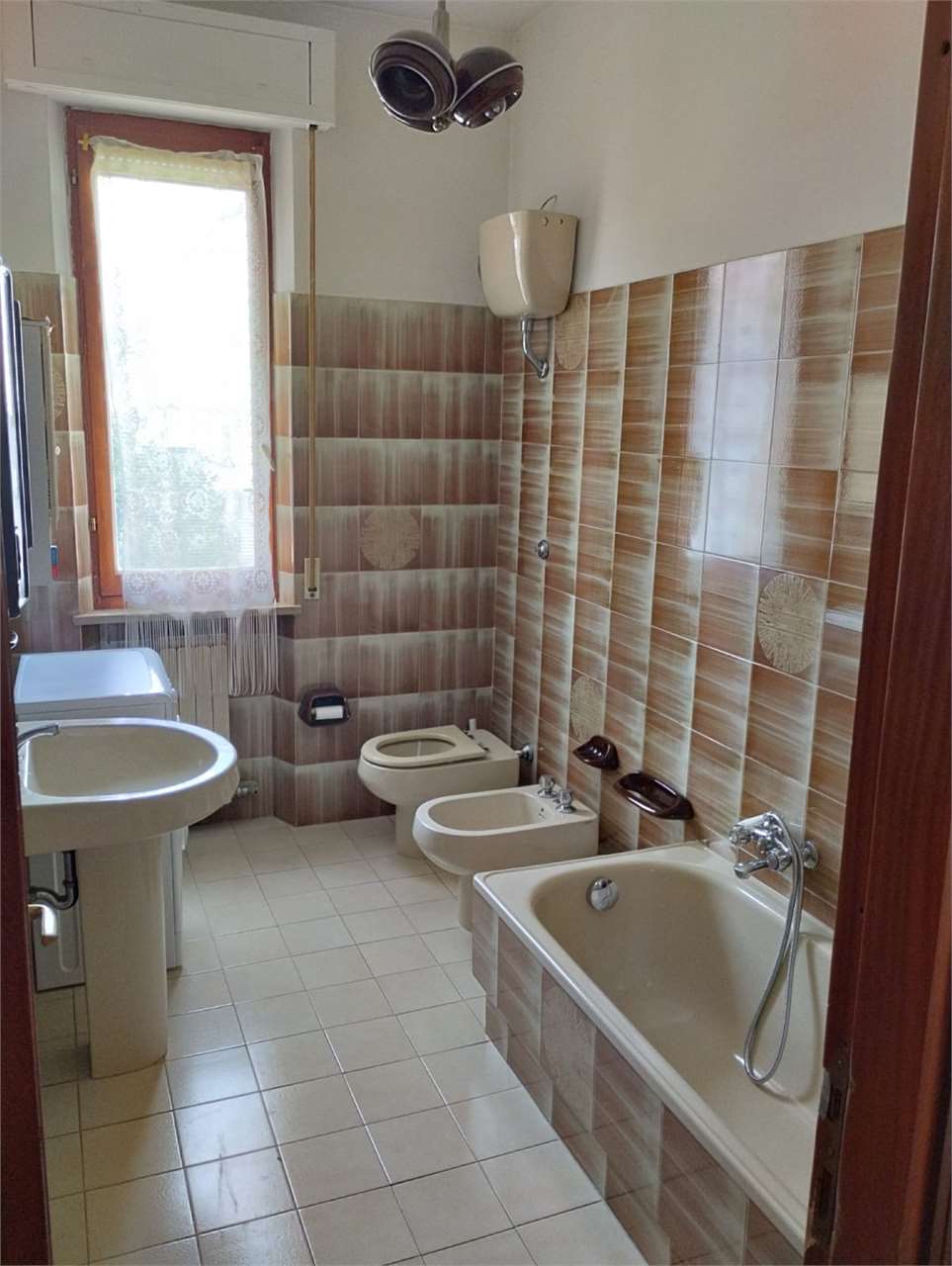 immagine annuncio 7 di 12