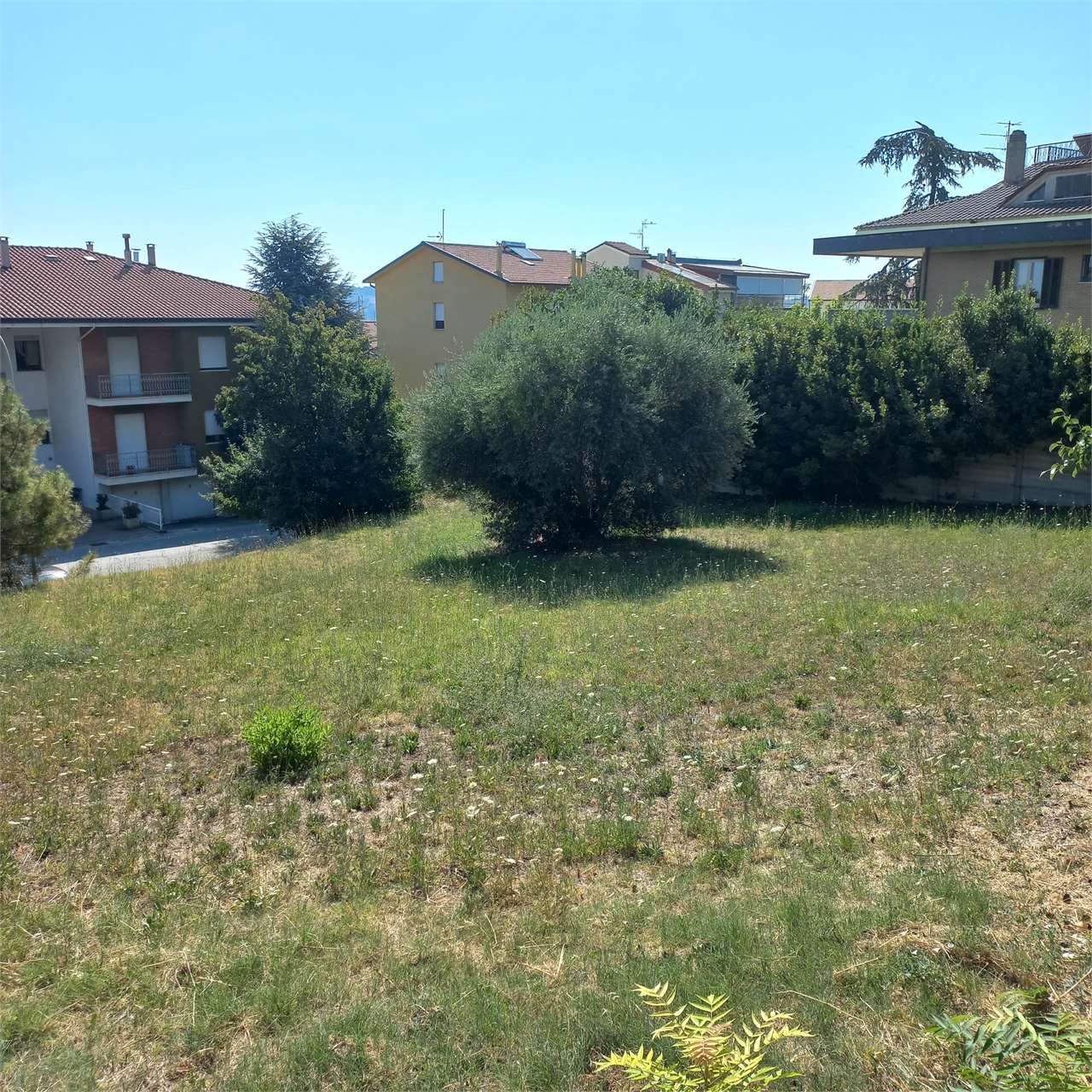 immagine annuncio 3 di 9