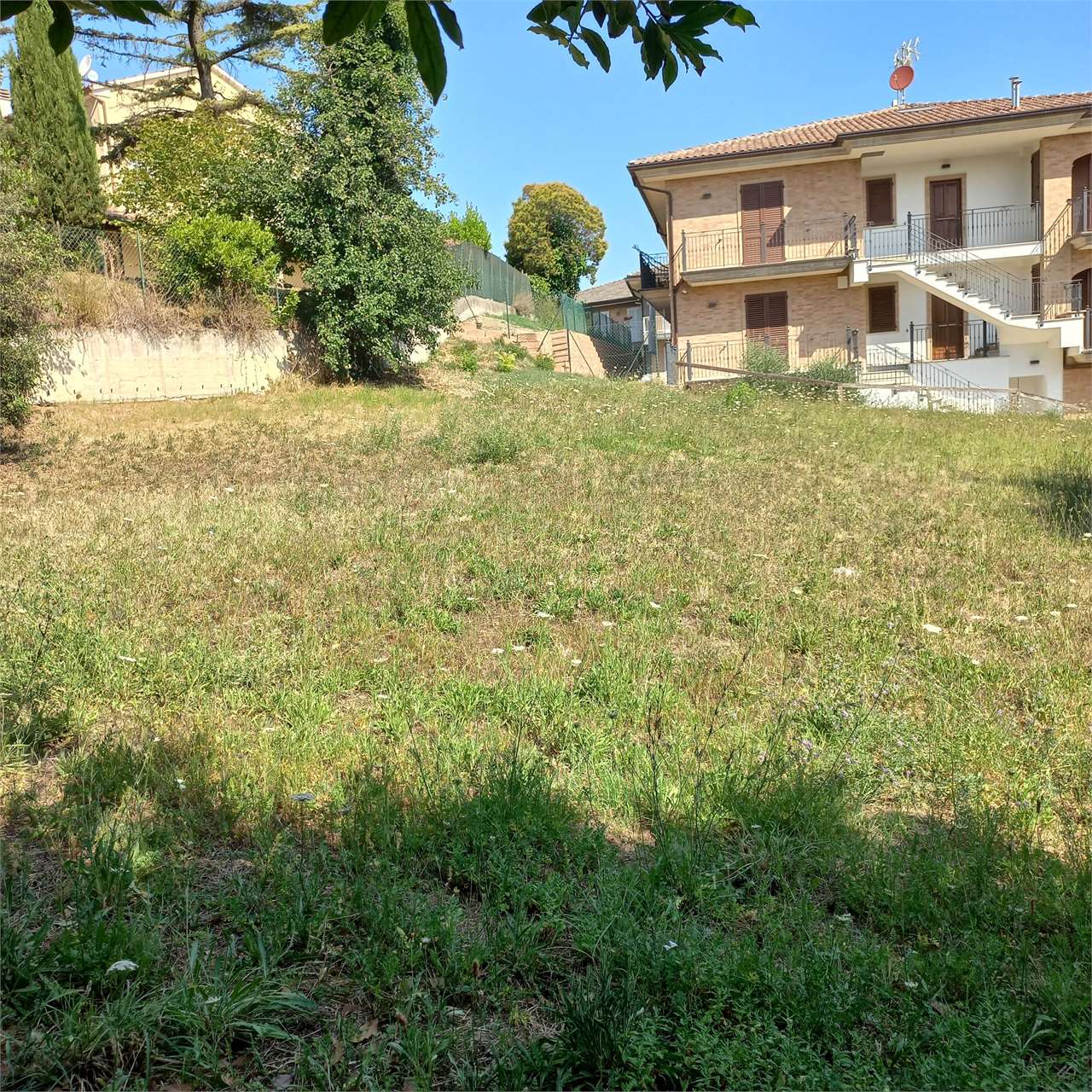 immagine annuncio 1 di 9