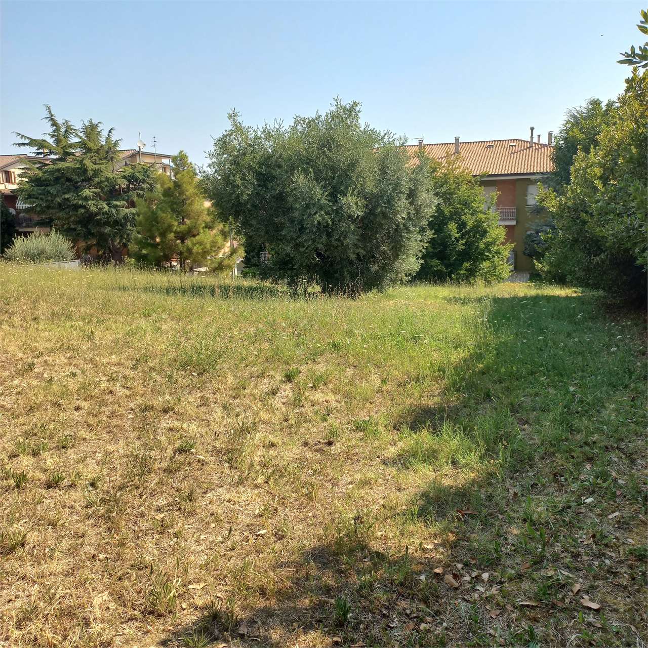 immagine annuncio 5 di 9