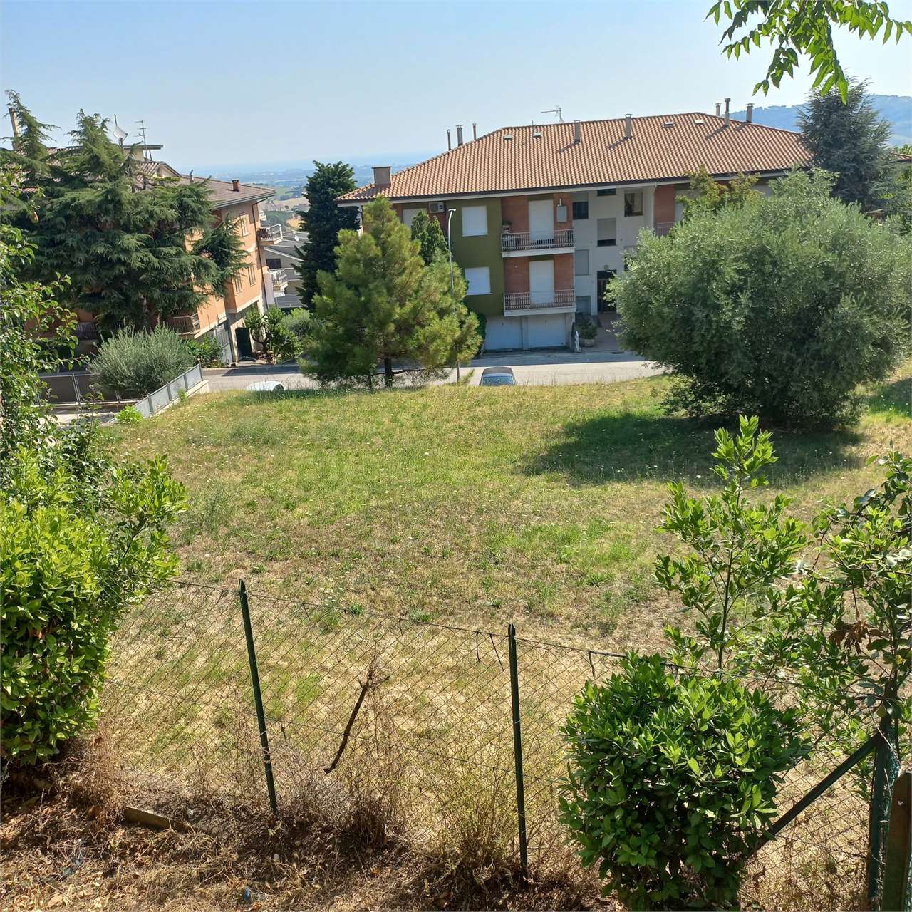 immagine annuncio 2 di 9