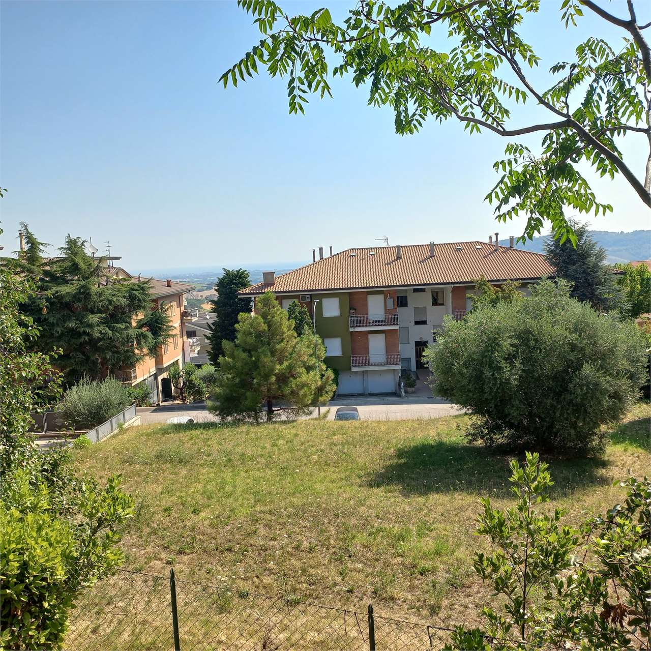 immagine annuncio 6 di 9