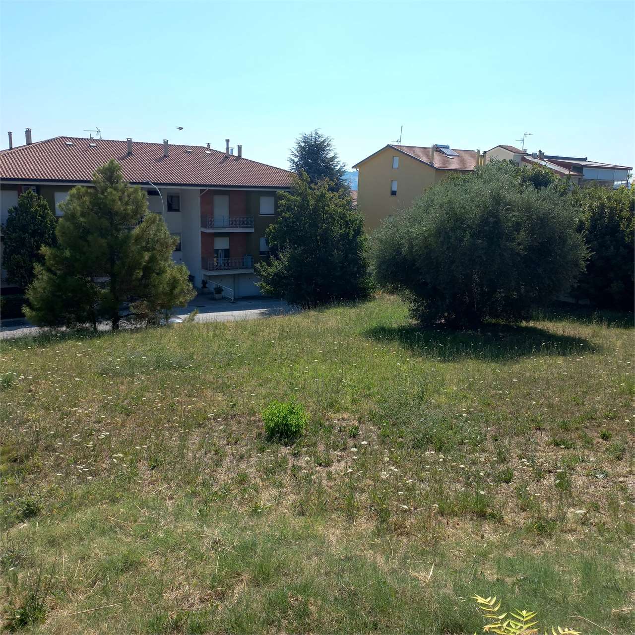 immagine annuncio 7 di 9