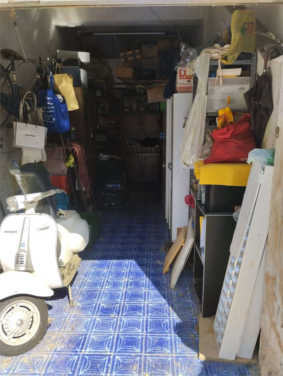 immagine annuncio 12 di 13