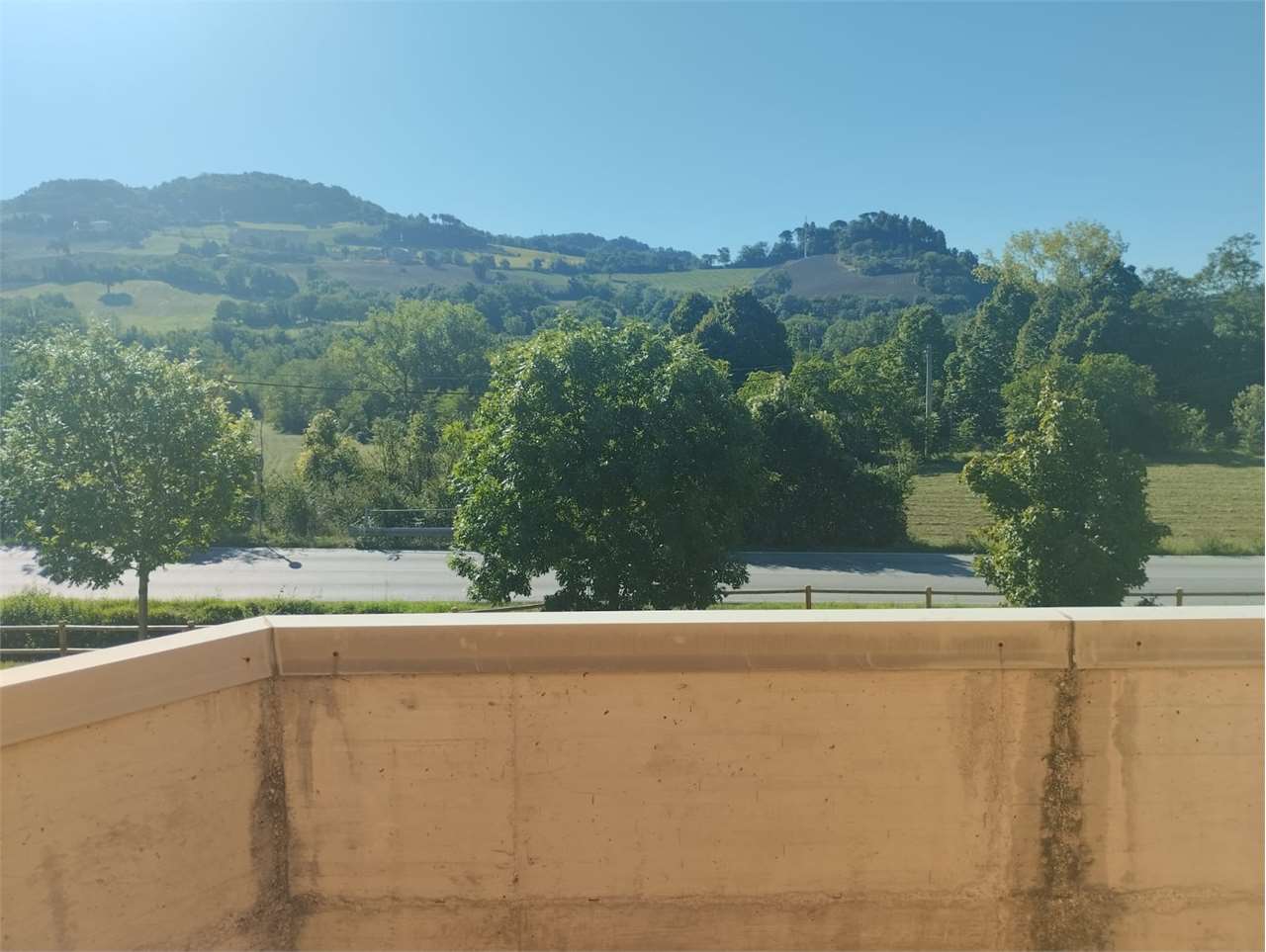 immagine annuncio 12 di 14