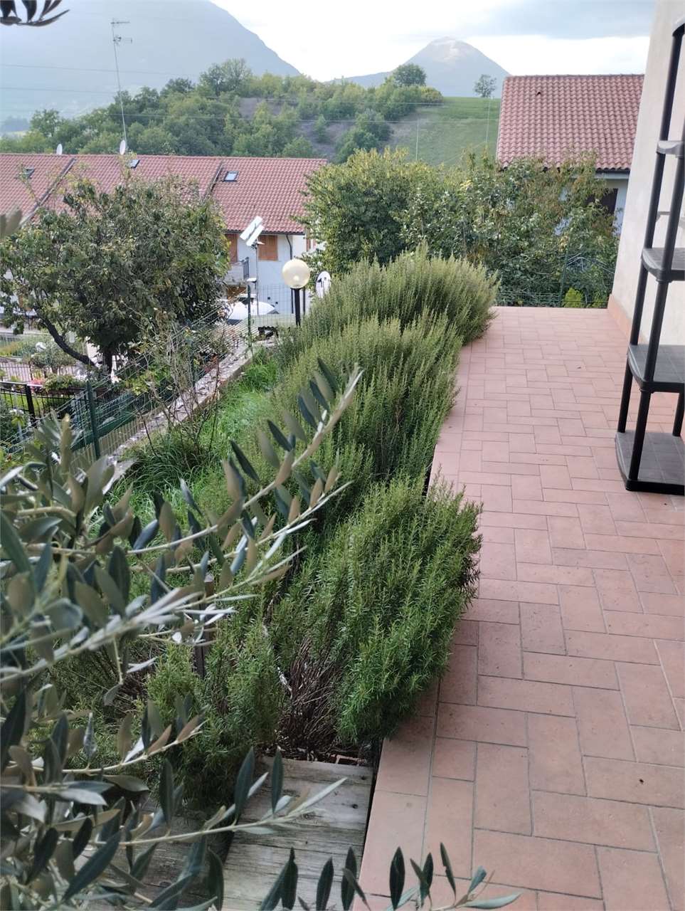 immagine annuncio 7 di 11