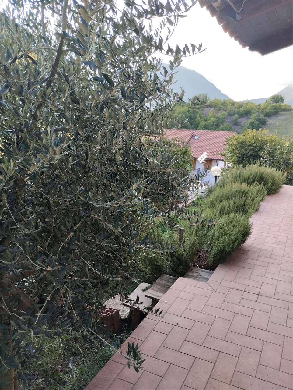 immagine annuncio 8 di 11