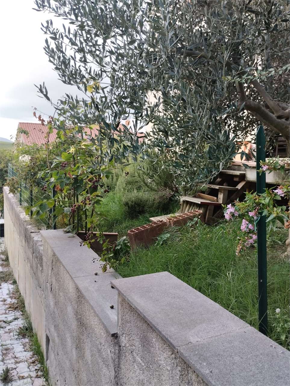 immagine annuncio 9 di 11